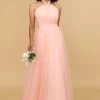 A Lijn Halter Blush Lange Bruidsmeisje Jurk -Jurken Korting Winkel 28009029 3 first